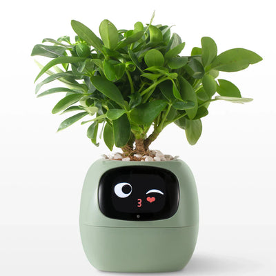 Bloomi™ Smart Plant Pot