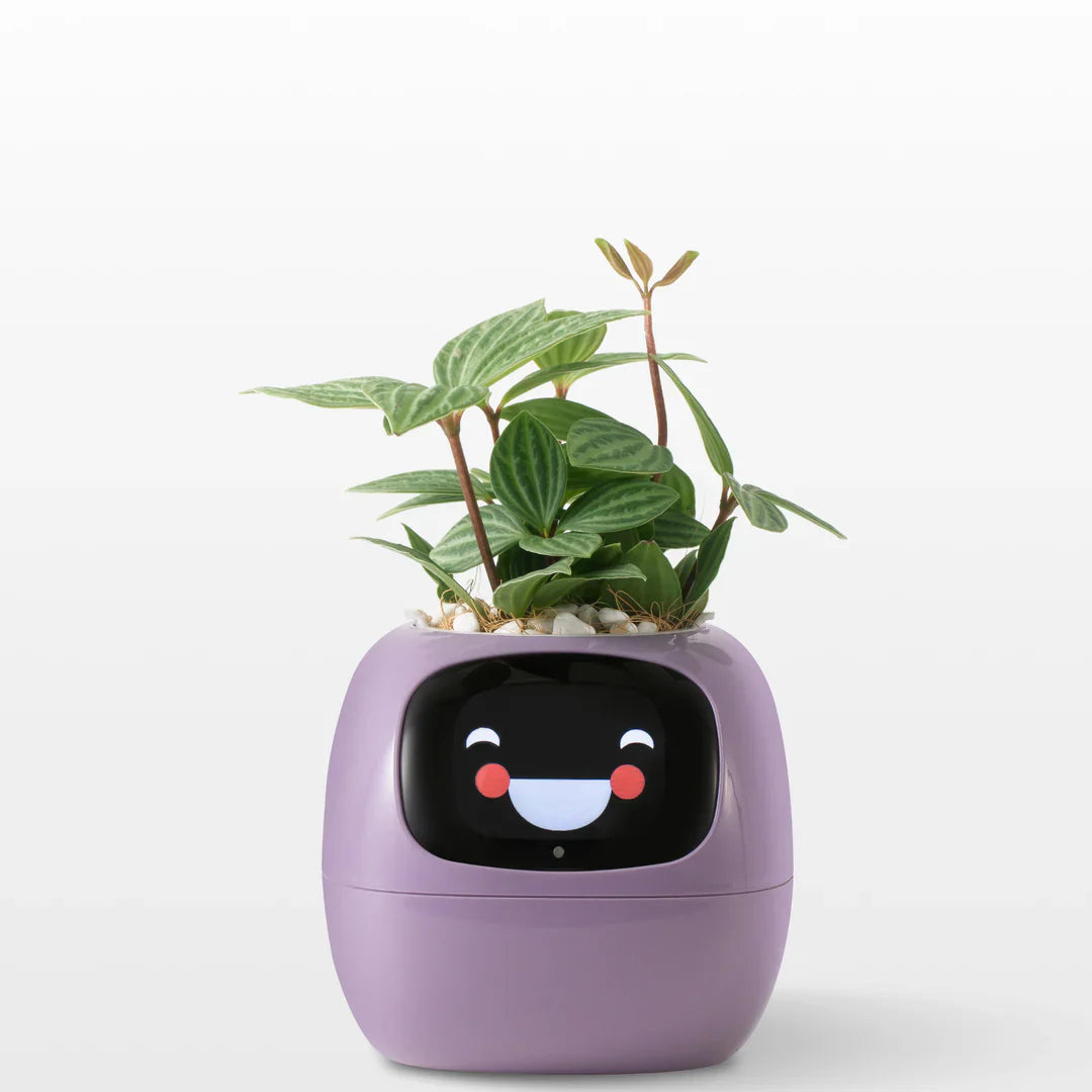 Bloomi™ Smart Plant Pot