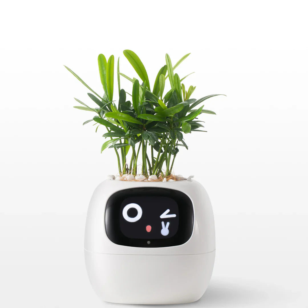 Bloomi™ Smart Plant Pot