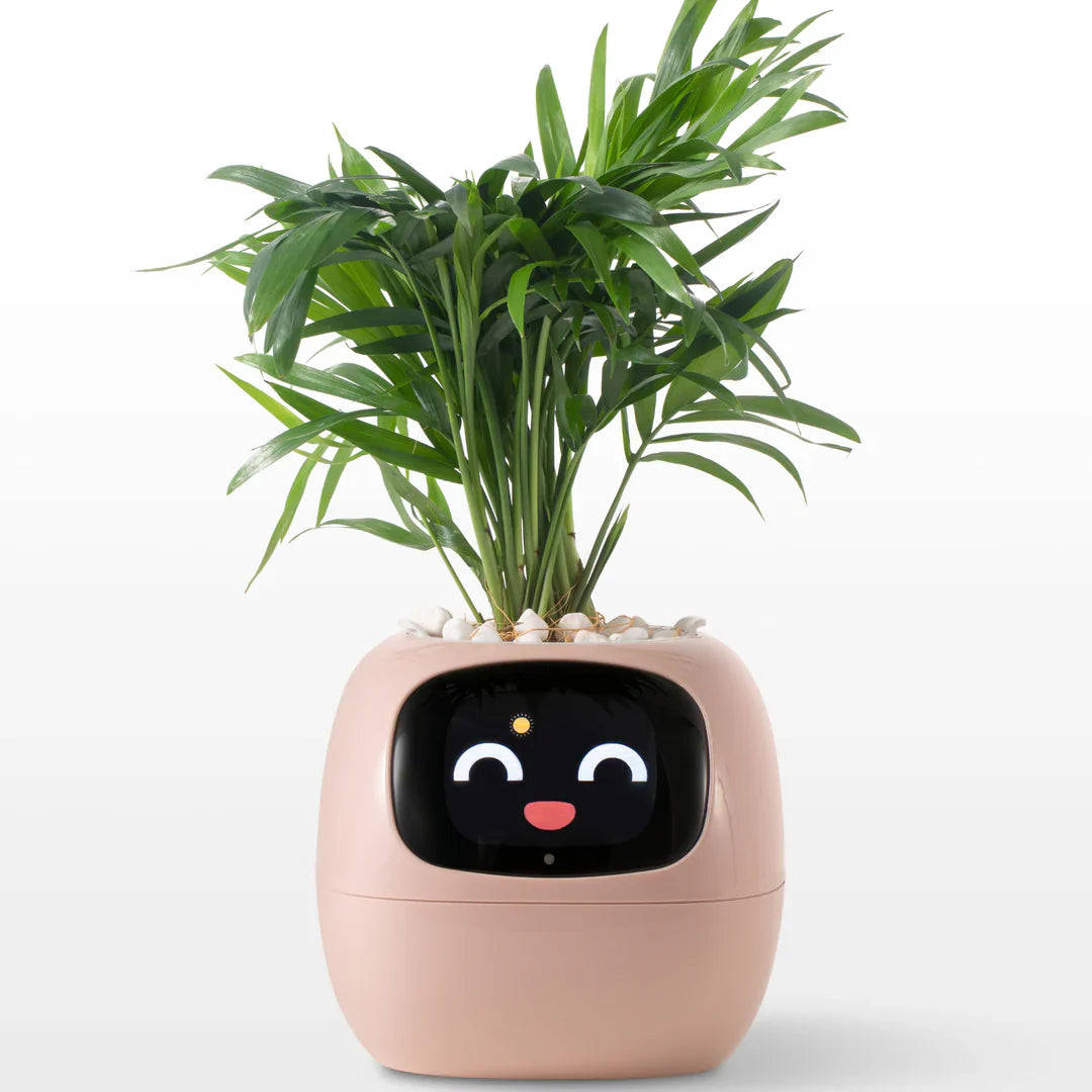 Bloomi™ Smart Plant Pot