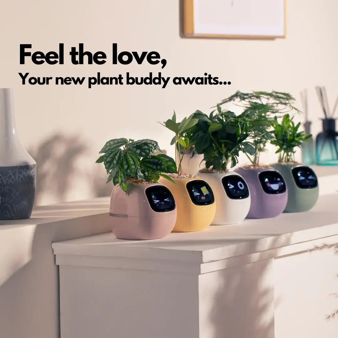 Bloomi™ Smart Plant Pot