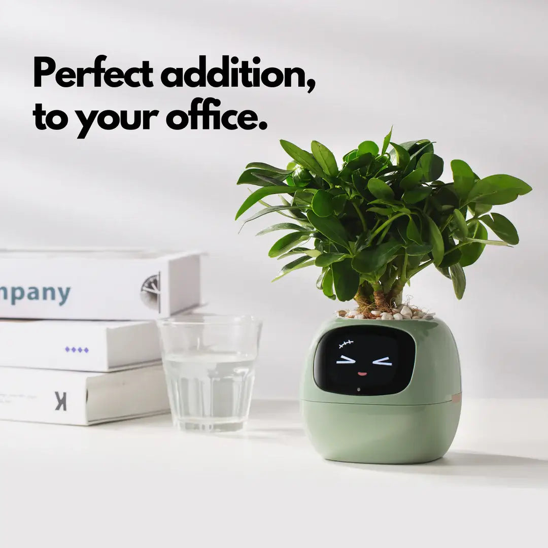 Bloomi™ Smart Plant Pot