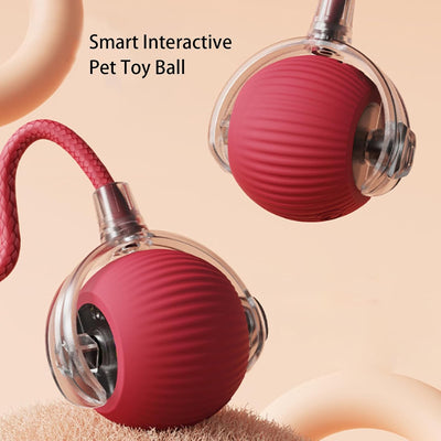 RolliePet Smart Fun Ball