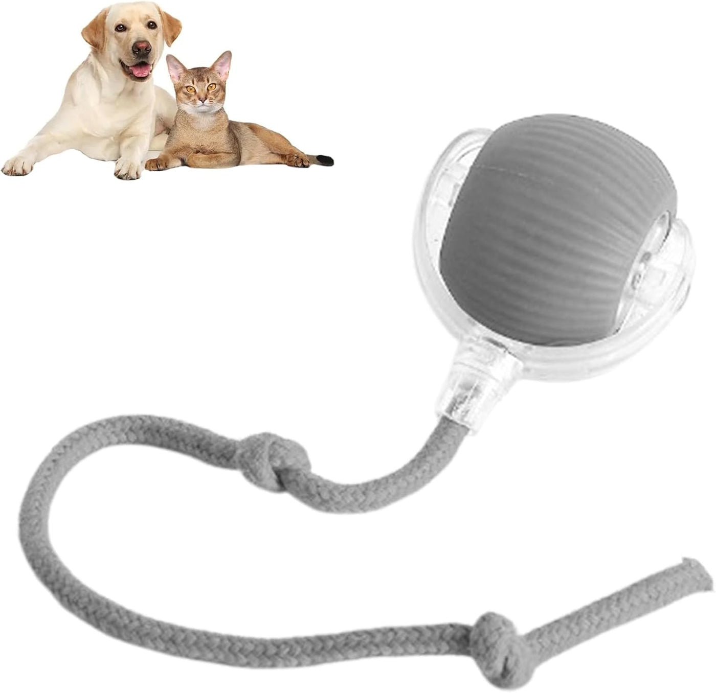 RolliePet Smart Fun Ball