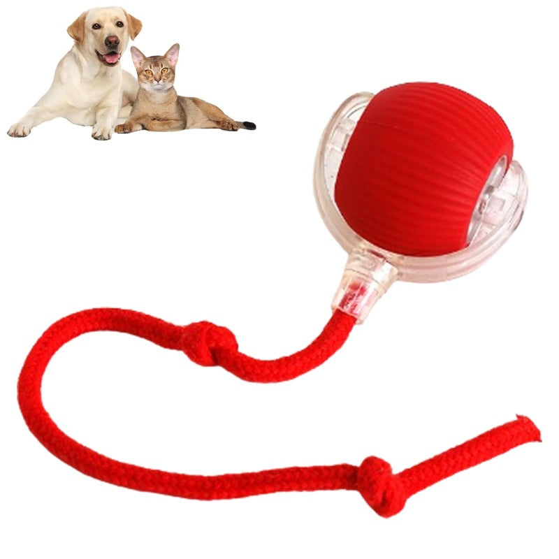 RolliePet Smart Fun Ball