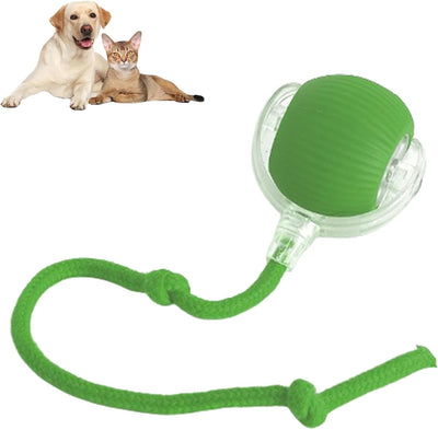 RolliePet Smart Fun Ball