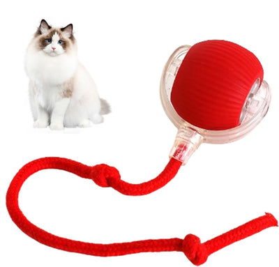 RolliePet Smart Fun Ball